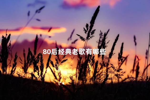 80后经典老歌有哪些