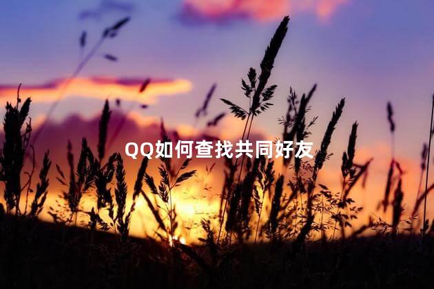 QQ如何查找共同好友