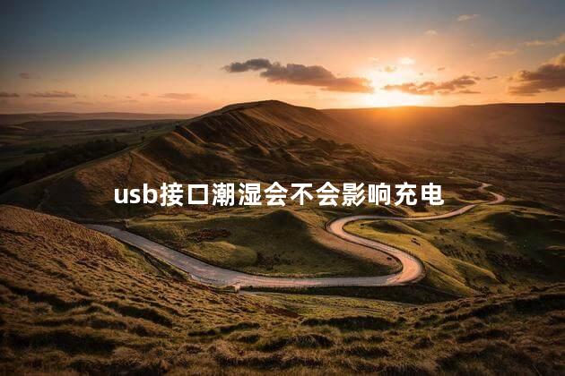 usb接口潮湿会不会影响充电