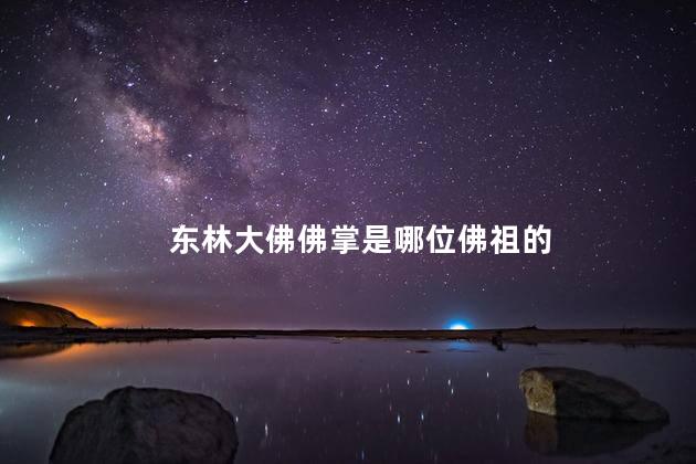 东林大佛佛掌是哪位佛祖的