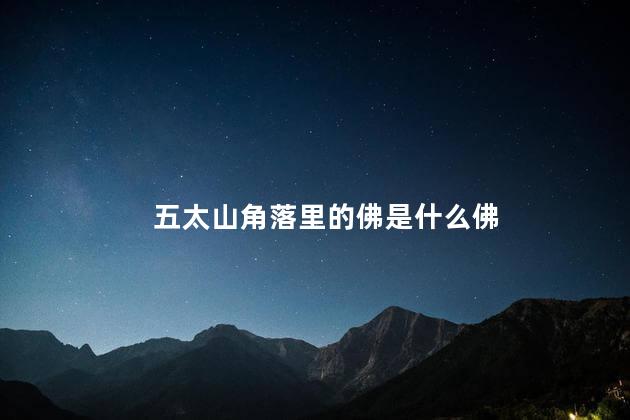 五太山角落里的佛是什么佛