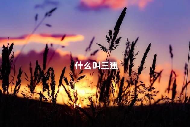 什么叫三违 三违是什么