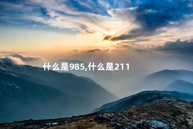 什么是985什么是211