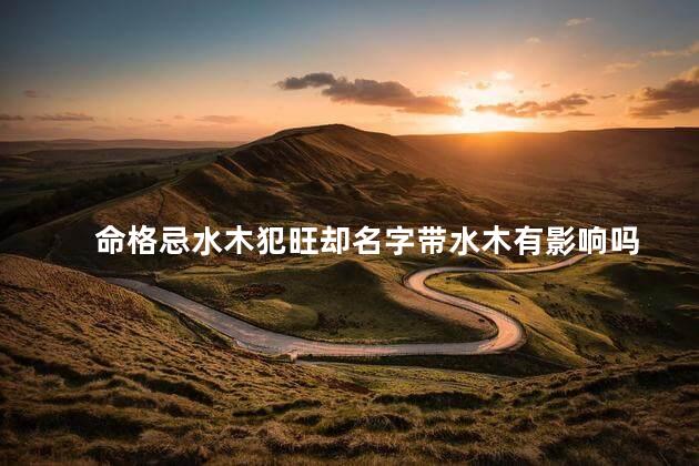 命格忌水木犯旺却名字带水木有影响吗