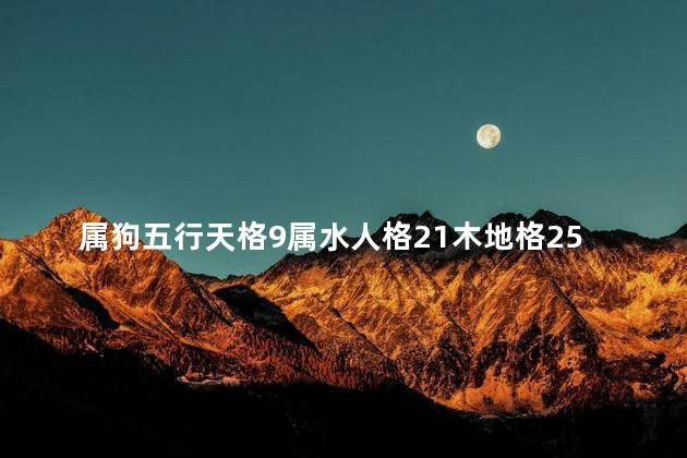 属狗五行天格9属水人格21木地格25土总格33属火外格13属火好吗