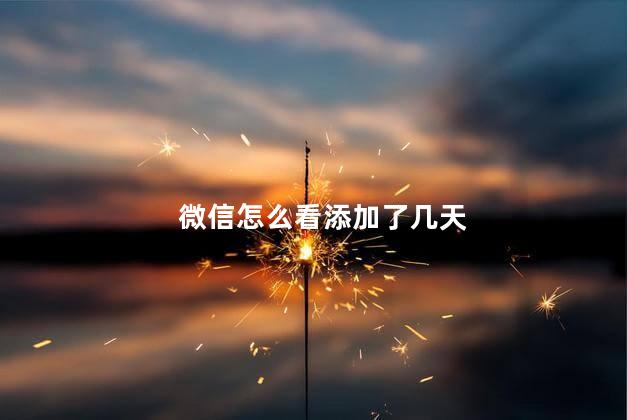 微信怎么看添加了几天