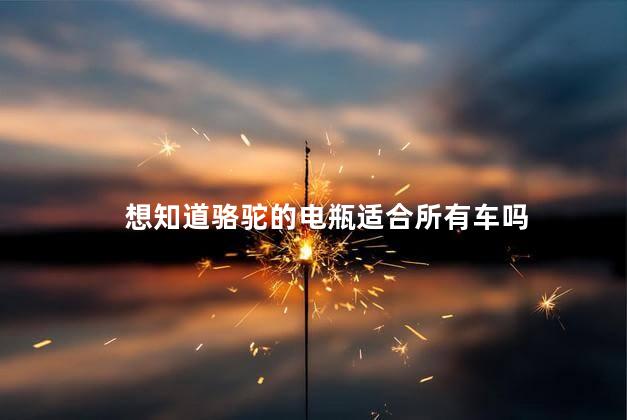 想知道骆驼的电瓶适合所有车吗