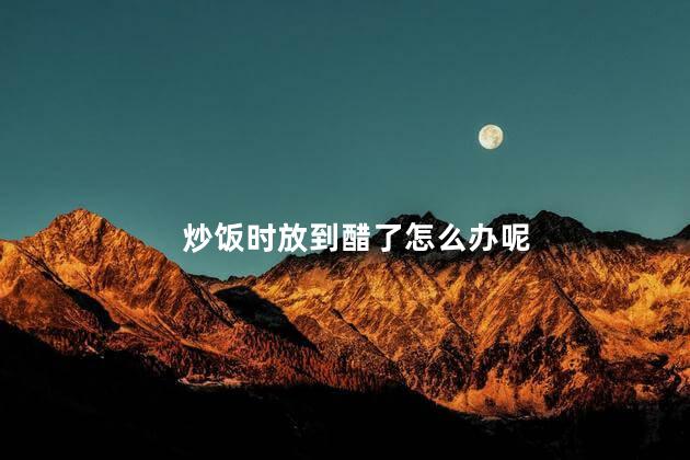 炒饭时放到醋了怎么办呢