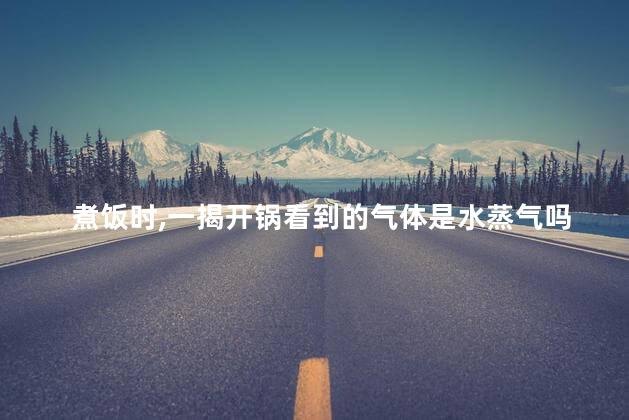 煮饭时，一揭开锅看到的气体是水蒸气吗