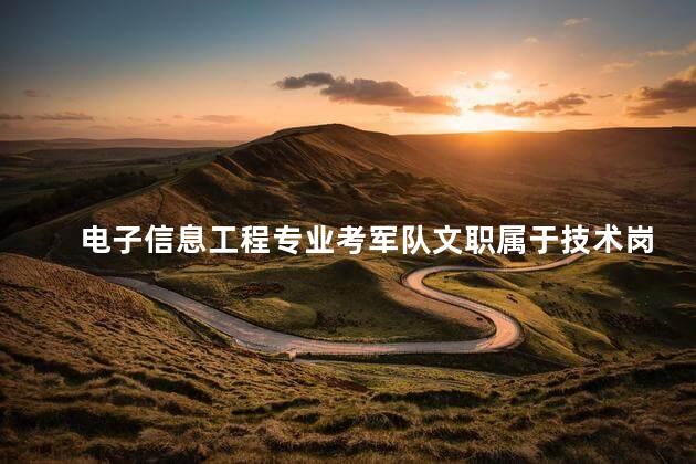 电子信息工程专业考军队文职属于技术岗还是管理岗