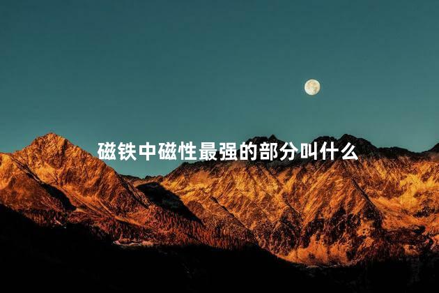 磁铁中磁性最强的部分叫什么