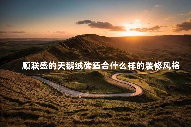 顺联盛的天鹅绒砖适合什么样的装修风格